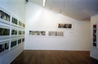 1999 - Paris - Galerie Baudoin Lebon