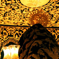 Exposition personnelle "Belles de Nuit XII"